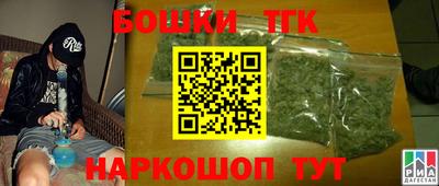 винт Партизанск