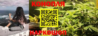 винт Партизанск