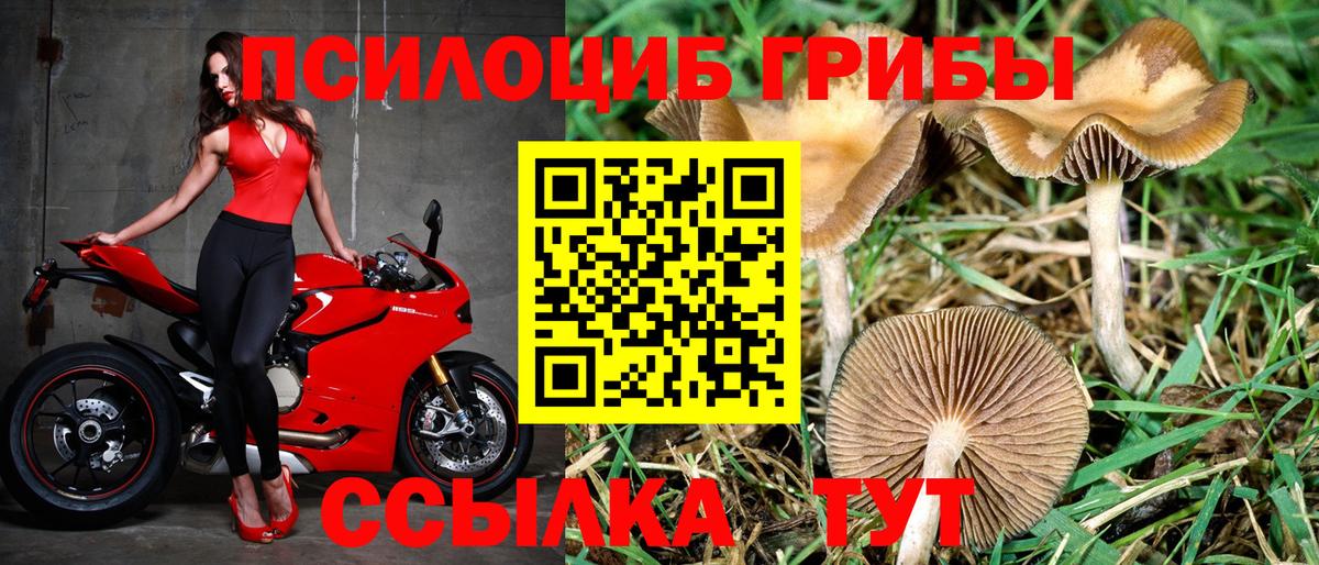 Псилоцибиновые грибы MAGIC MUSHROOMS Азов
